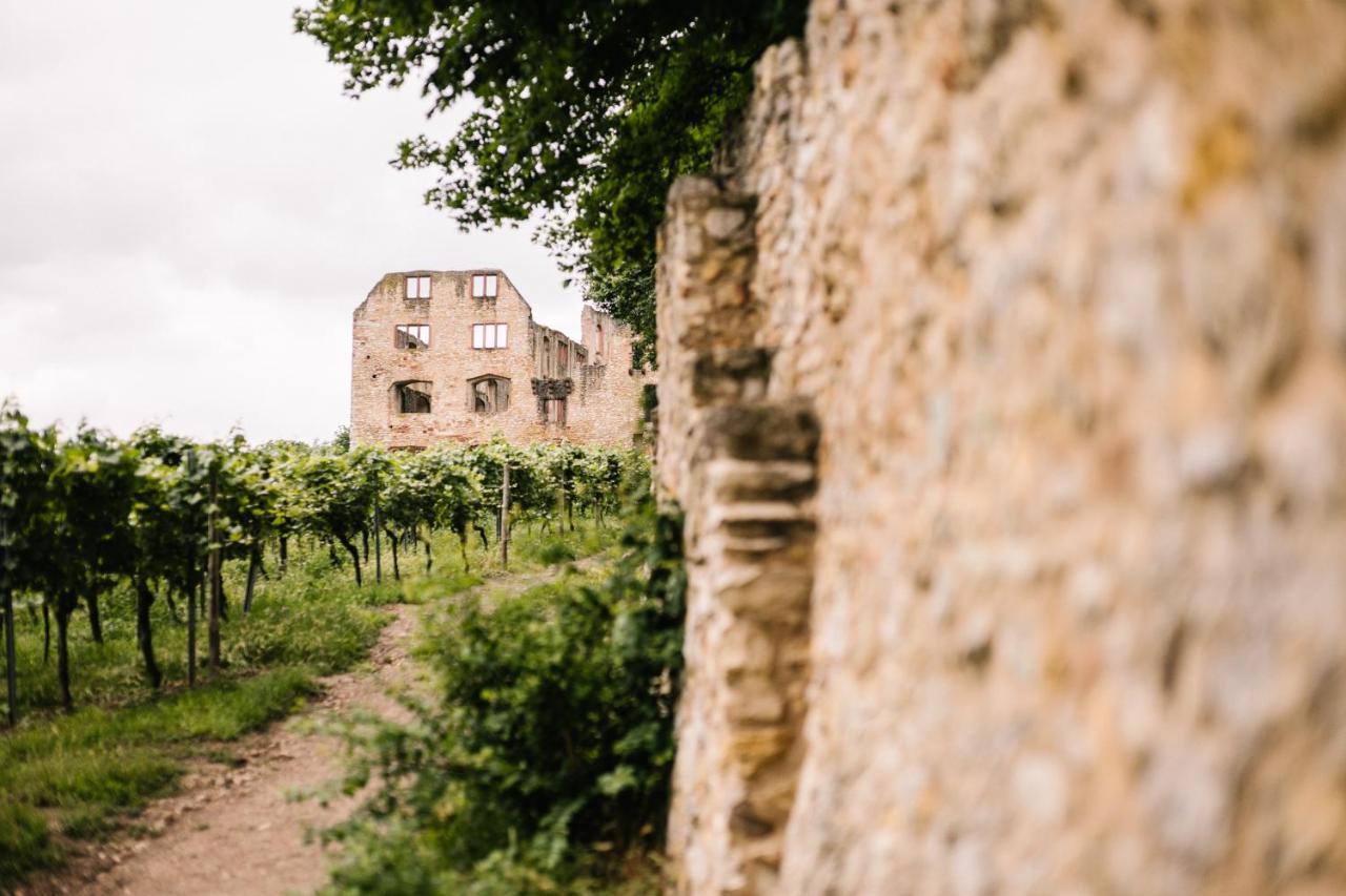 Weinzuhause Hotel-Restaurant-Vinothek Mommenheim エクステリア 写真