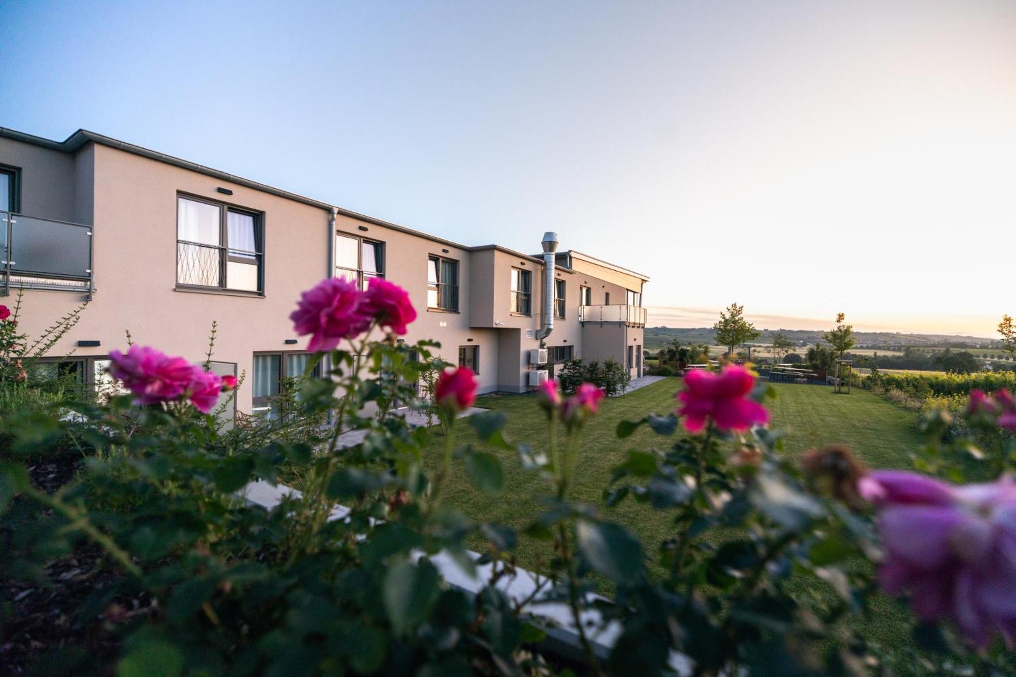 Weinzuhause Hotel-Restaurant-Vinothek Mommenheim エクステリア 写真